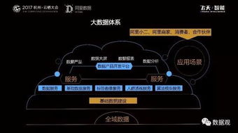 阿里數(shù)據(jù)服務產品開發(fā)與大數(shù)據(jù)體系實踐 數(shù)據(jù)處理服務的核心洞察